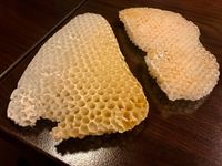March_Stewart Baker about Beekeeping